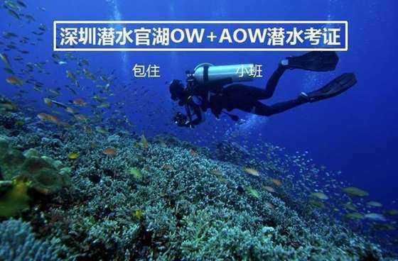 2023年榕江县“幼儿基本体操”冬令营开营